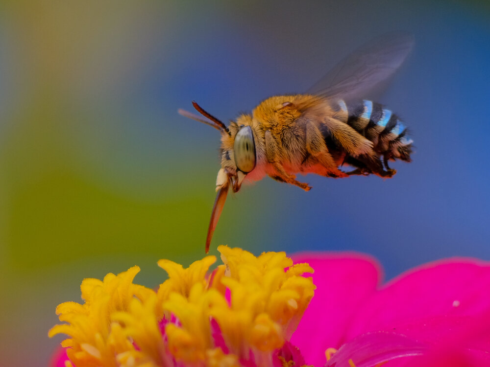 Photograph by catur handoko