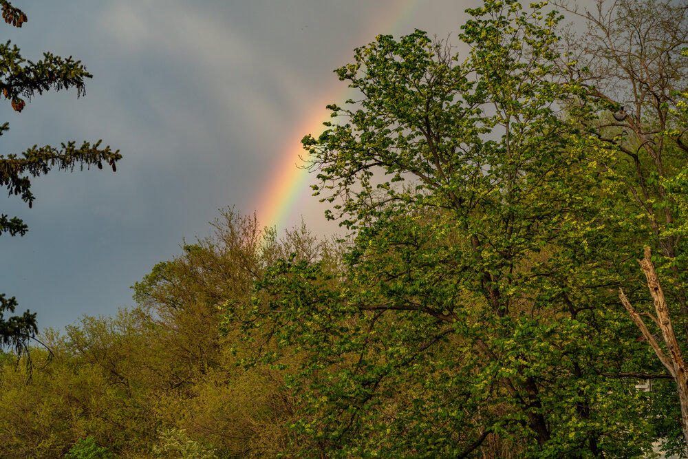 Photograph by Константин Яковлев