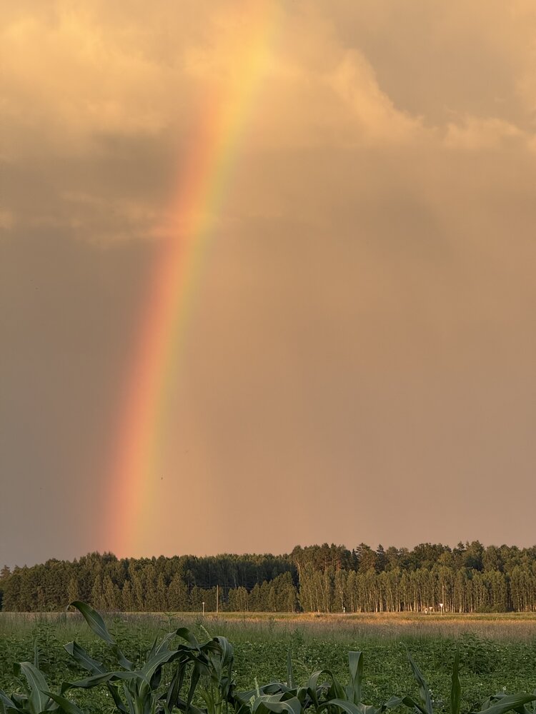 Photograph by Анна Пигулевская