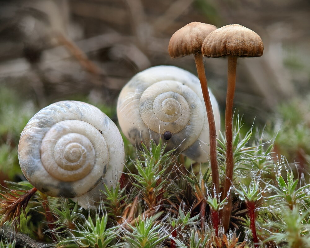Photograph by Дмитрий Кузнецов