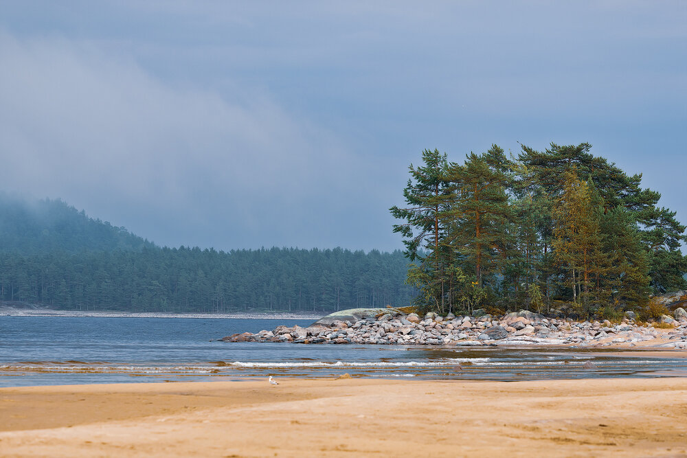 Photograph by Алеся Ермошкина