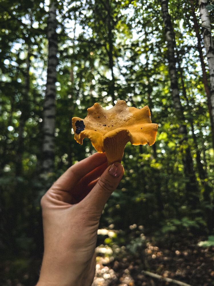 Photograph by Ольга Панасюк