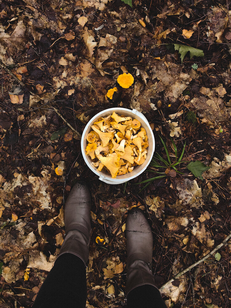 Photograph by Ольга Панасюк