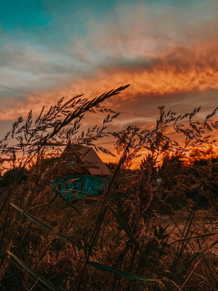 Фотография автора Александра Тяпкина