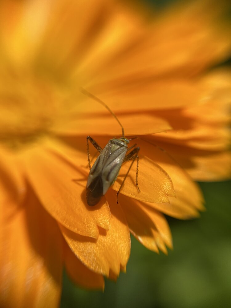 Photograph by Елена Федорова