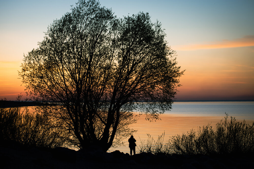 Photograph by Александра Плискова