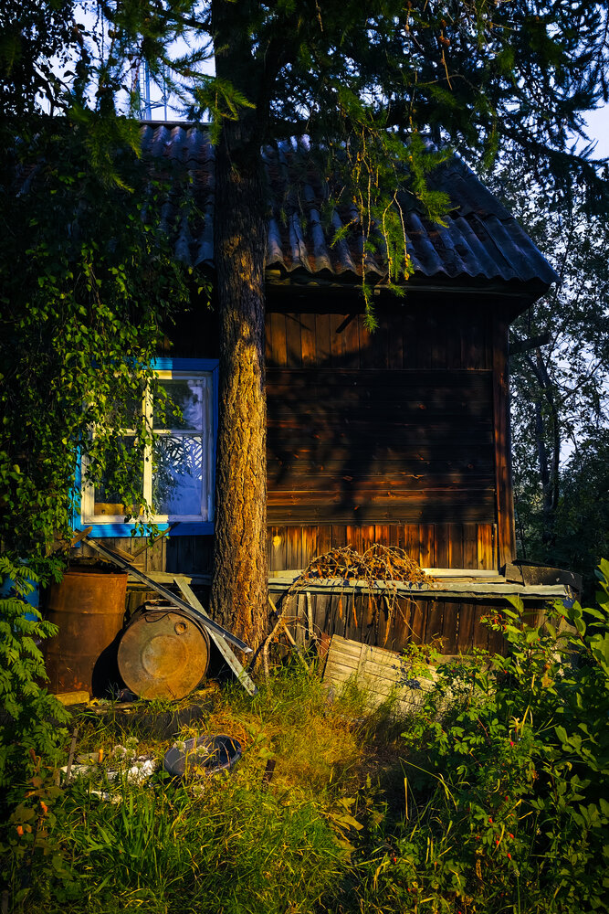 Photograph by Дмитрий Шевченко