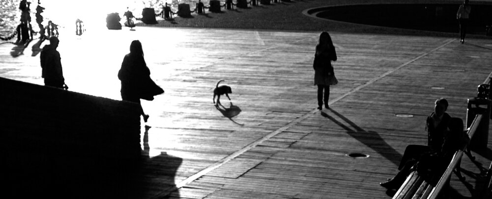 Photograph by Ольга Заповедная