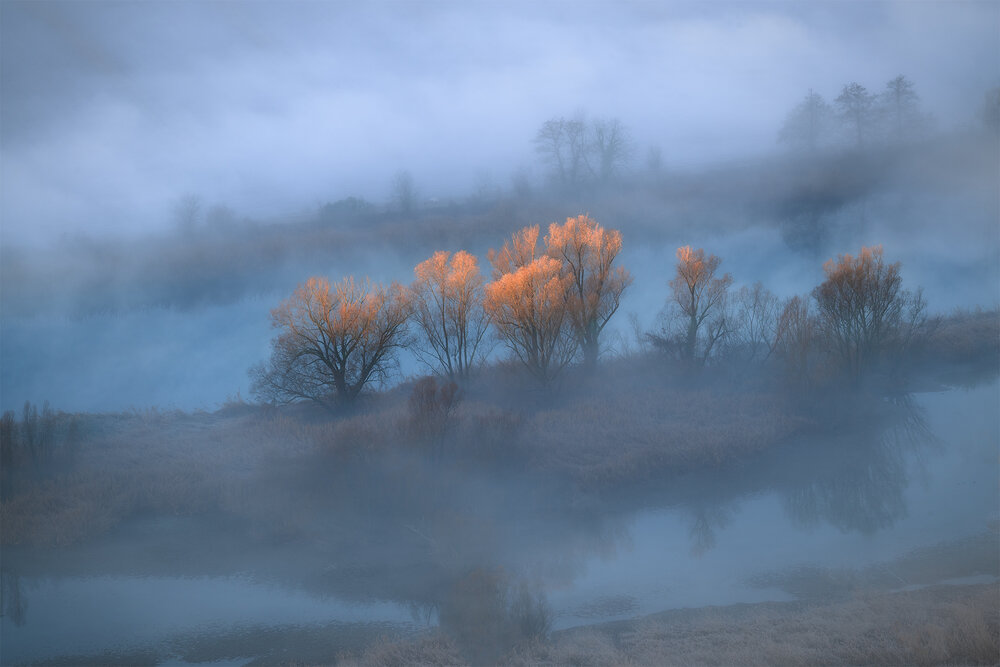 First lights
