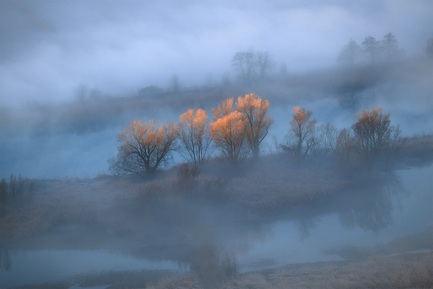 First lights