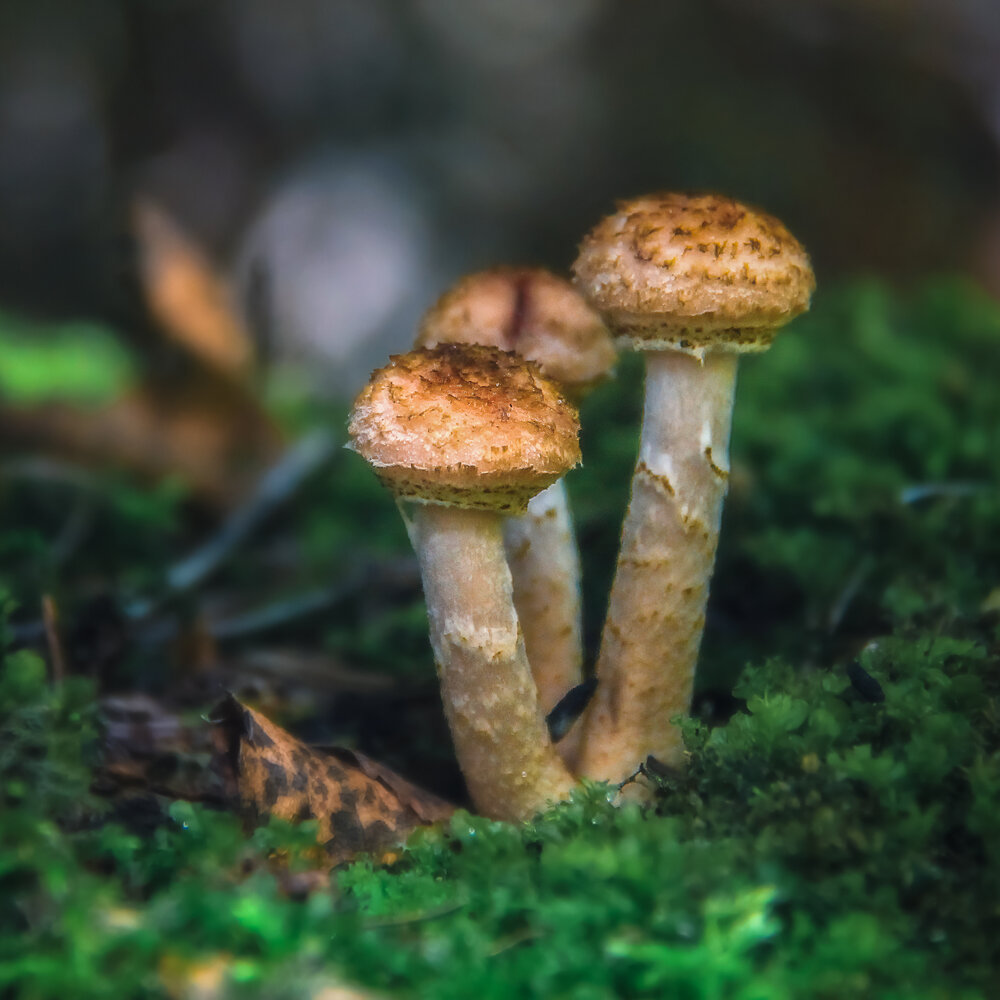 Photograph by Юдинских Марина