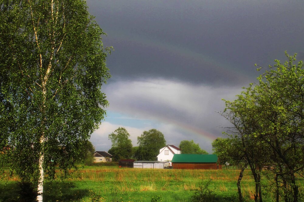 Photograph by Алла Бойко