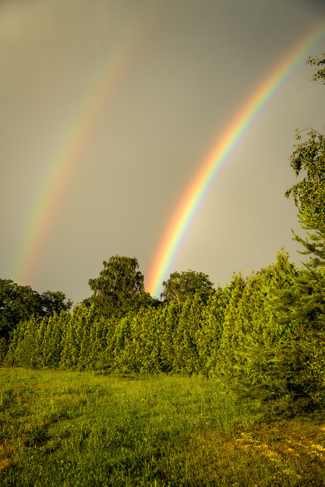 Photograph by Денчук Наталья