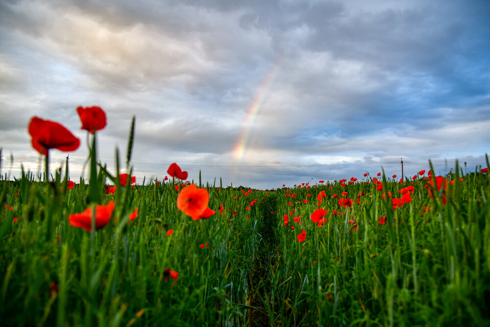 Photograph by Денчук Наталья