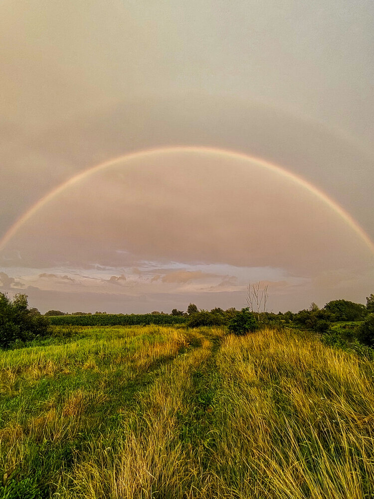 Photograph by Денчук Наталья