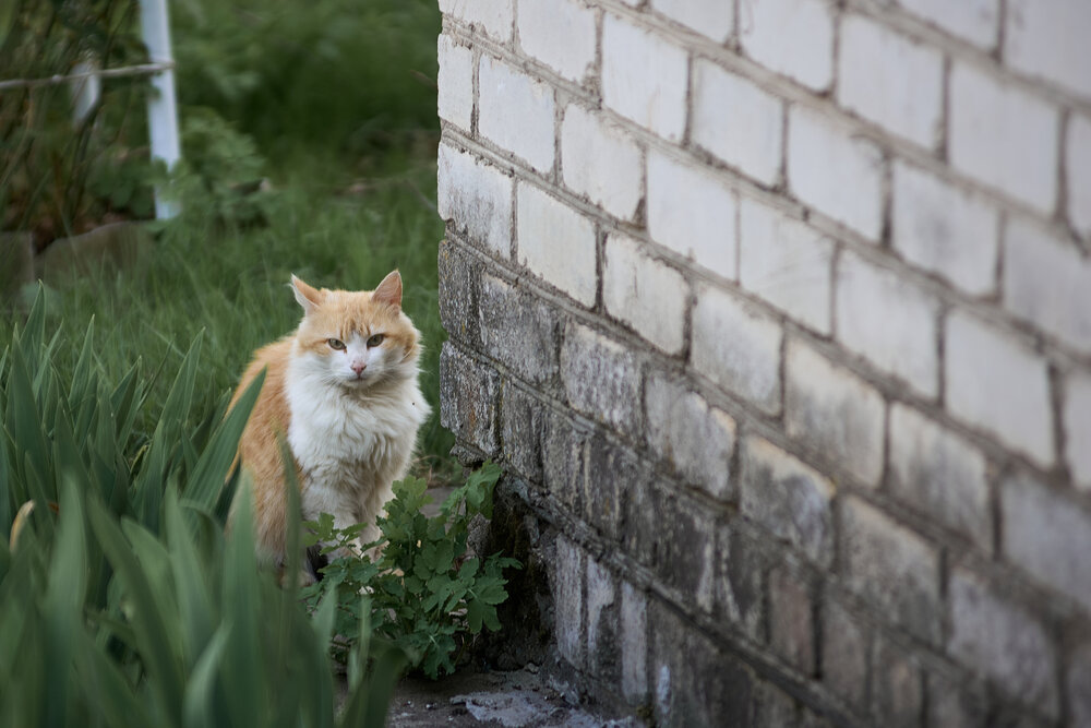 Photograph by Дмитрий Поляков