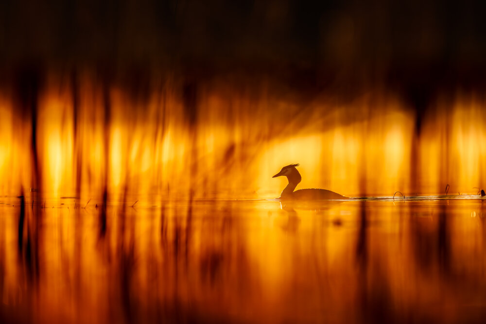 Photograph by Patryk Kurc