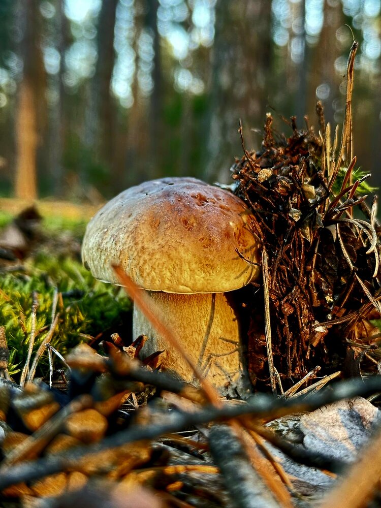 Photograph by Мирон Терёхин