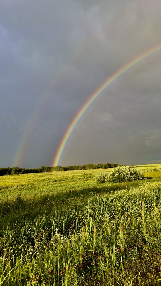 Photograph by Nataliia Pentjusa