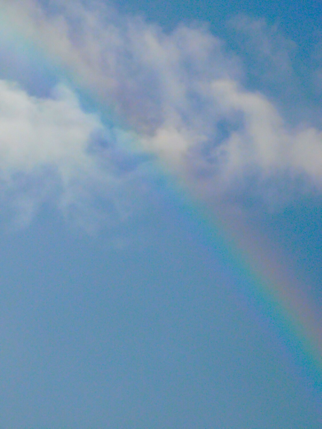Photo #13952425
