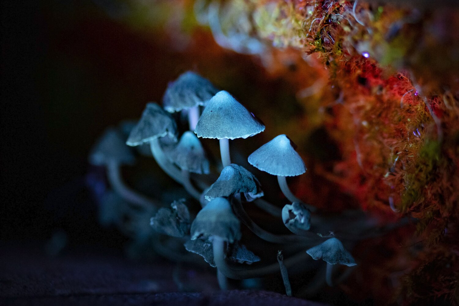 Photo #13952644