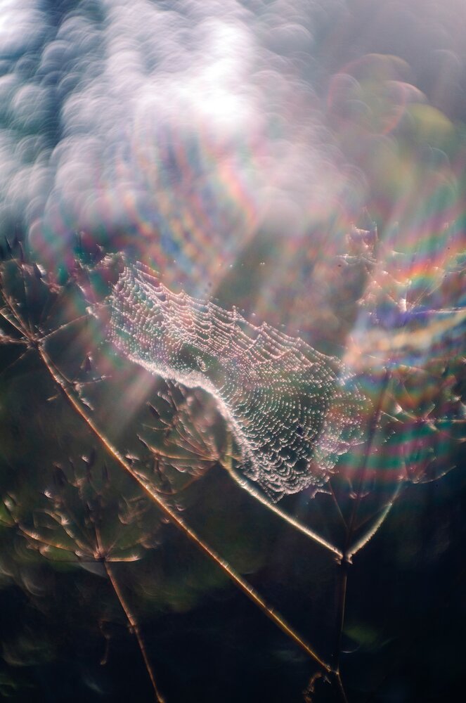 Photograph by Любовь Бусова