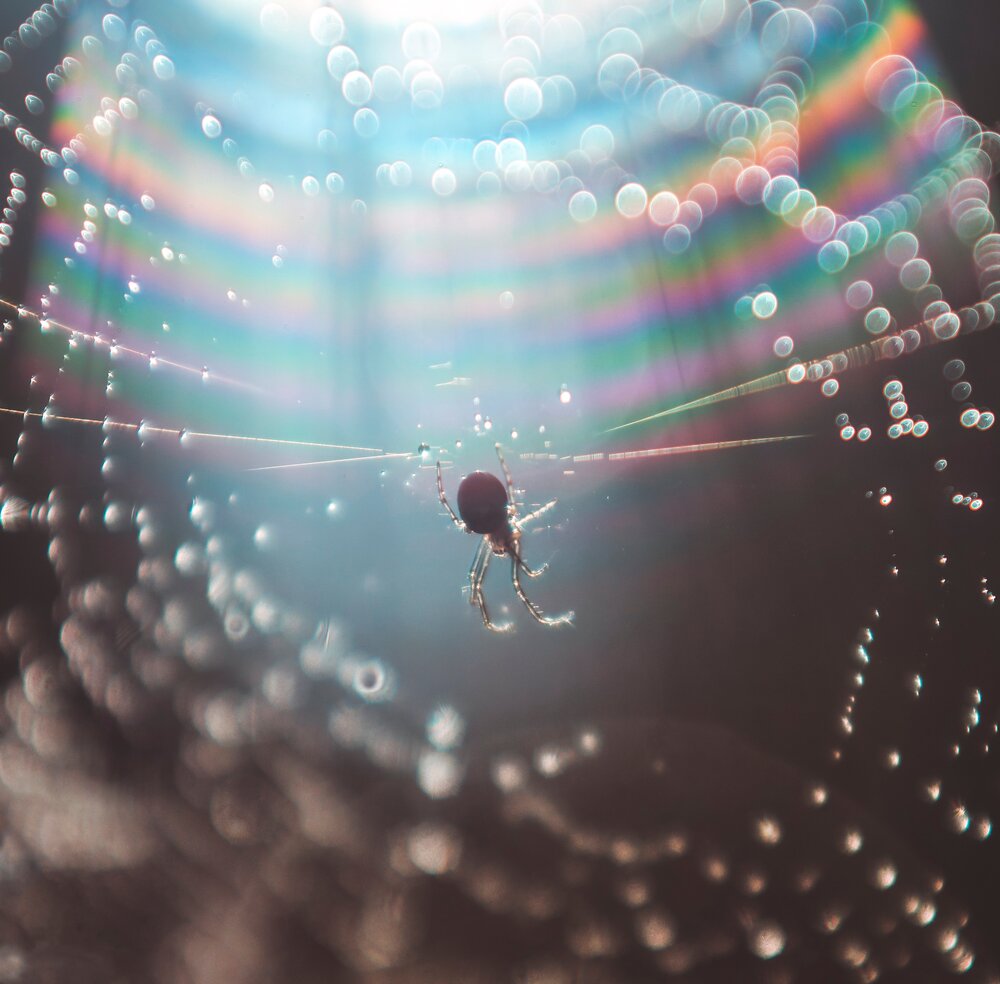 Photograph by Любовь Бусова