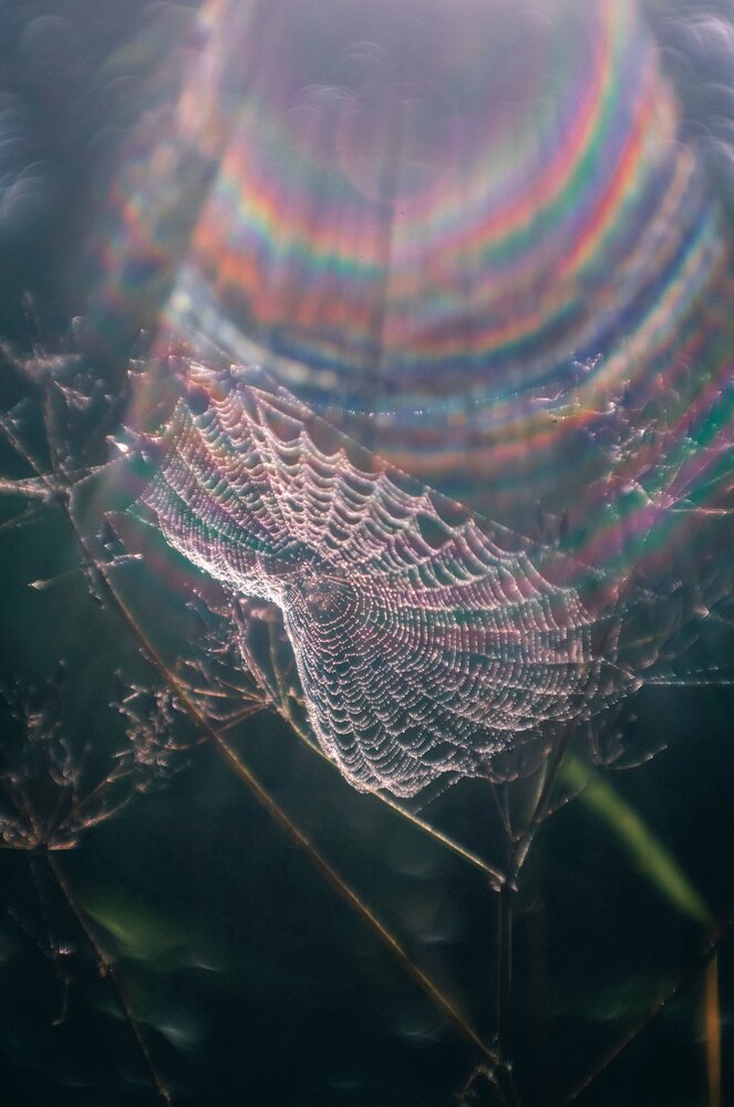 Photograph by Любовь Бусова