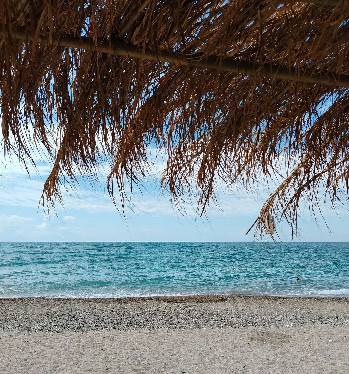 Photo #13952717