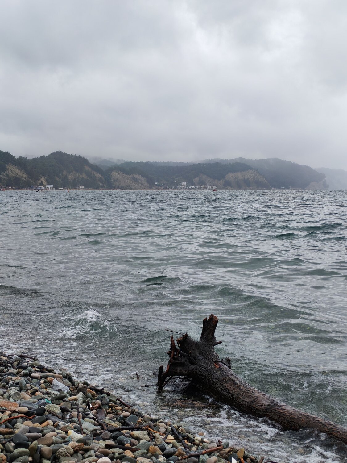 Photo #13952718