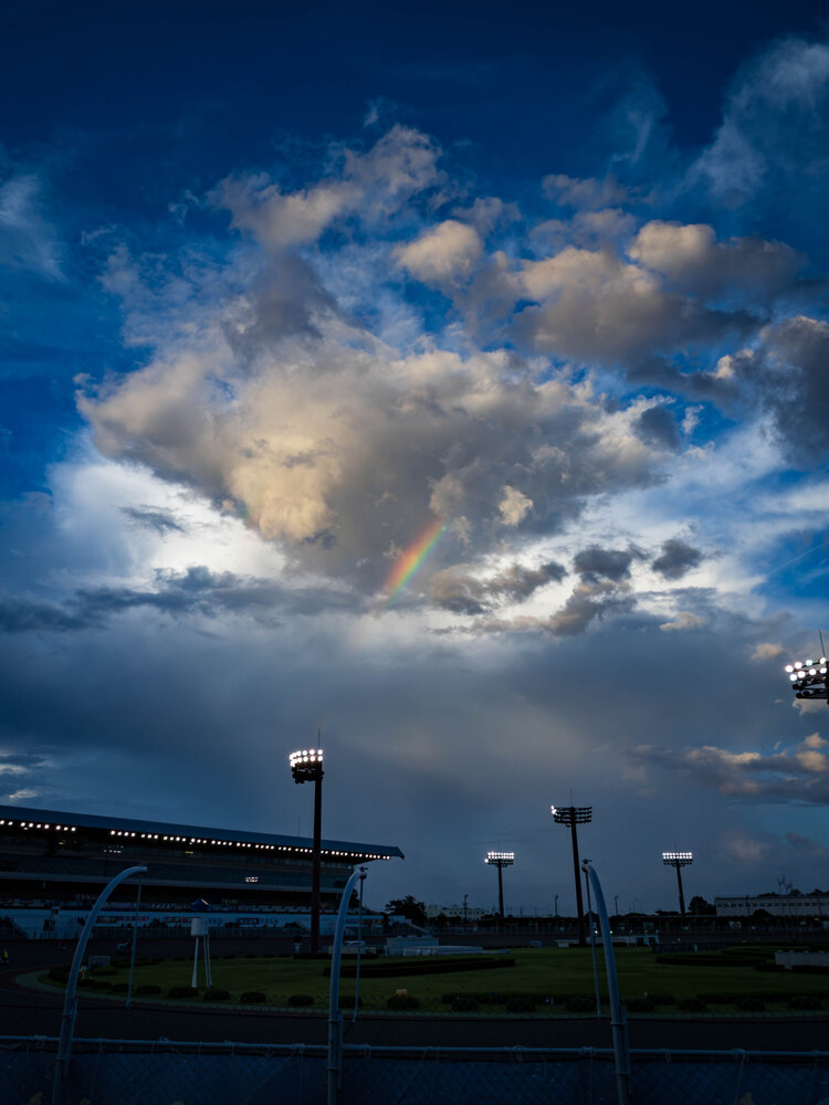 Photograph by Gunma No UMA