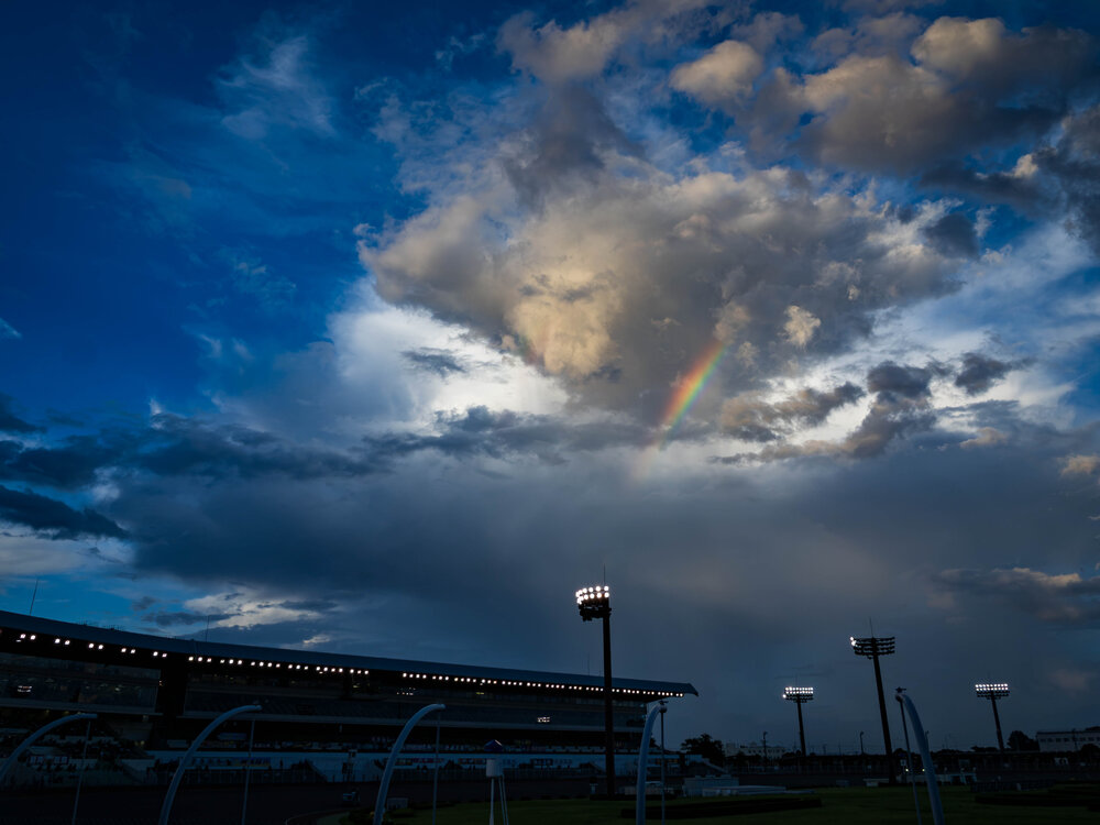 Photograph by Gunma No UMA
