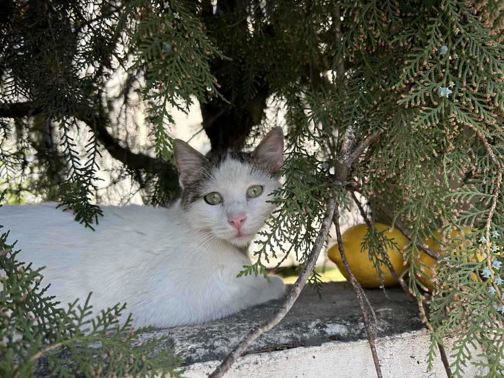 Photograph by Татьяна Белова