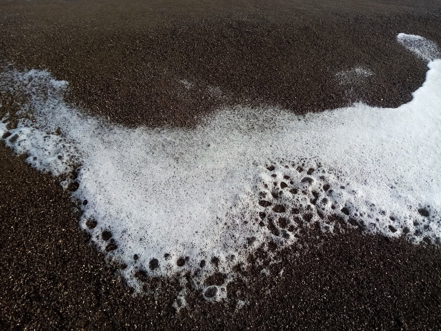 Photo #13953084