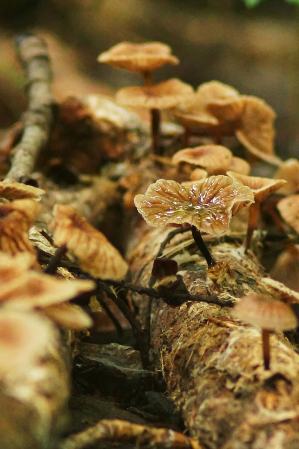 Photo #13953099