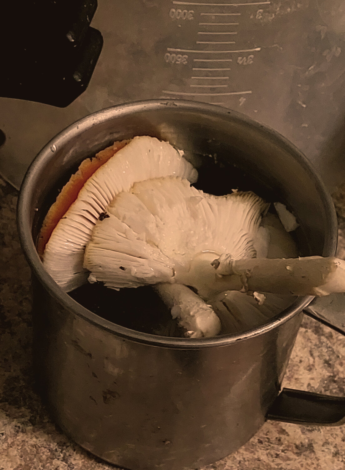 Photo #13953107