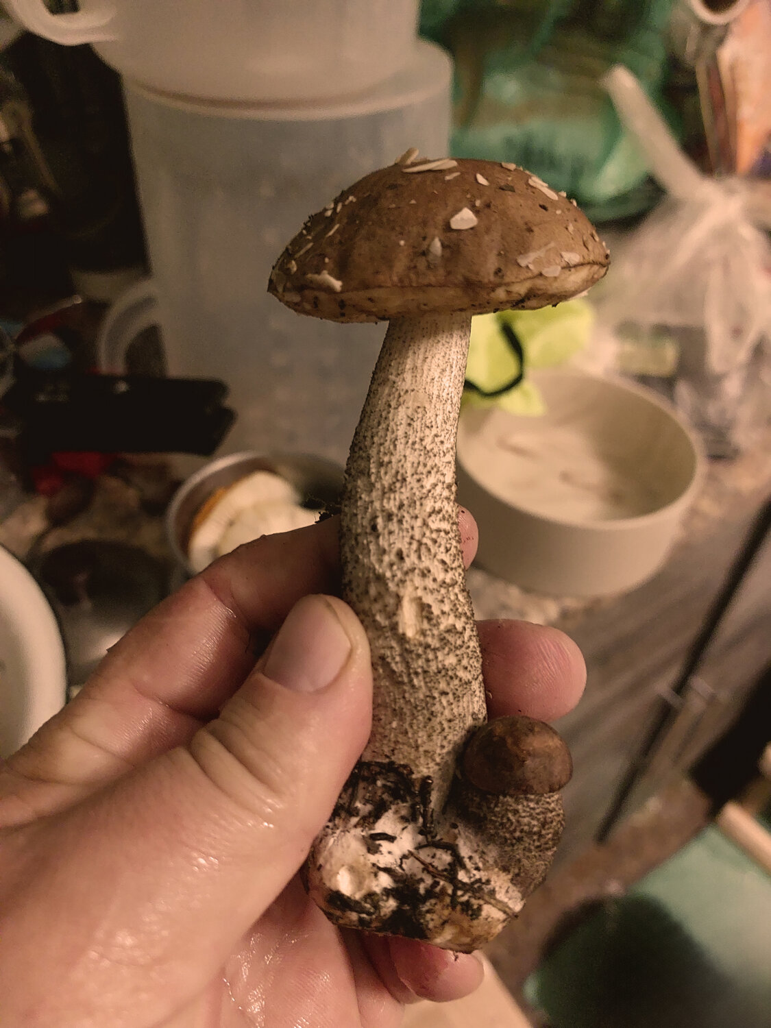 Photo #13953109
