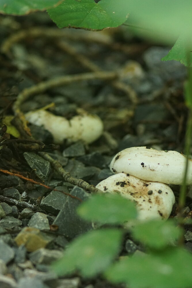 Photo #13953213