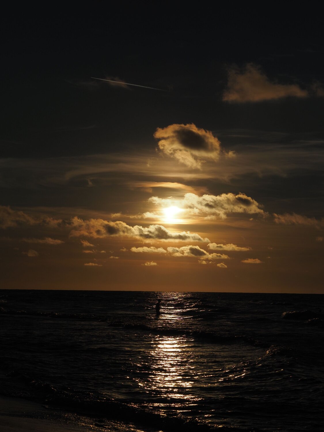 Photo #13953315