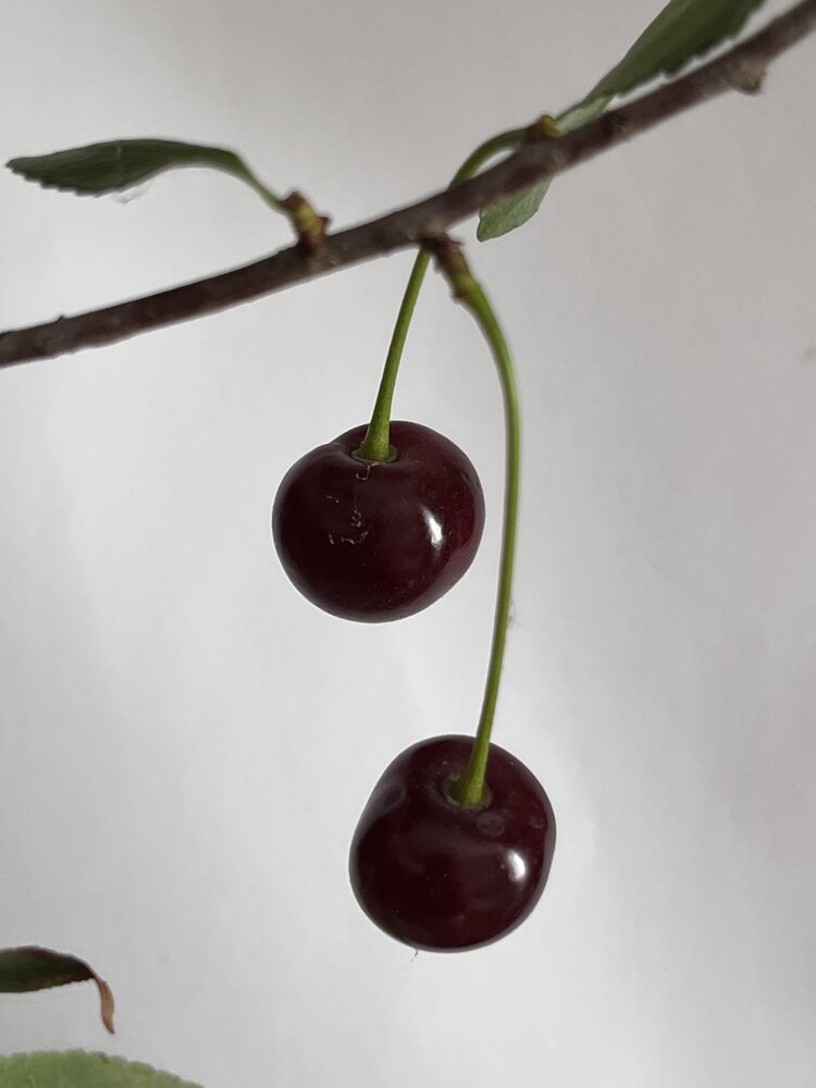 Photograph by Динара