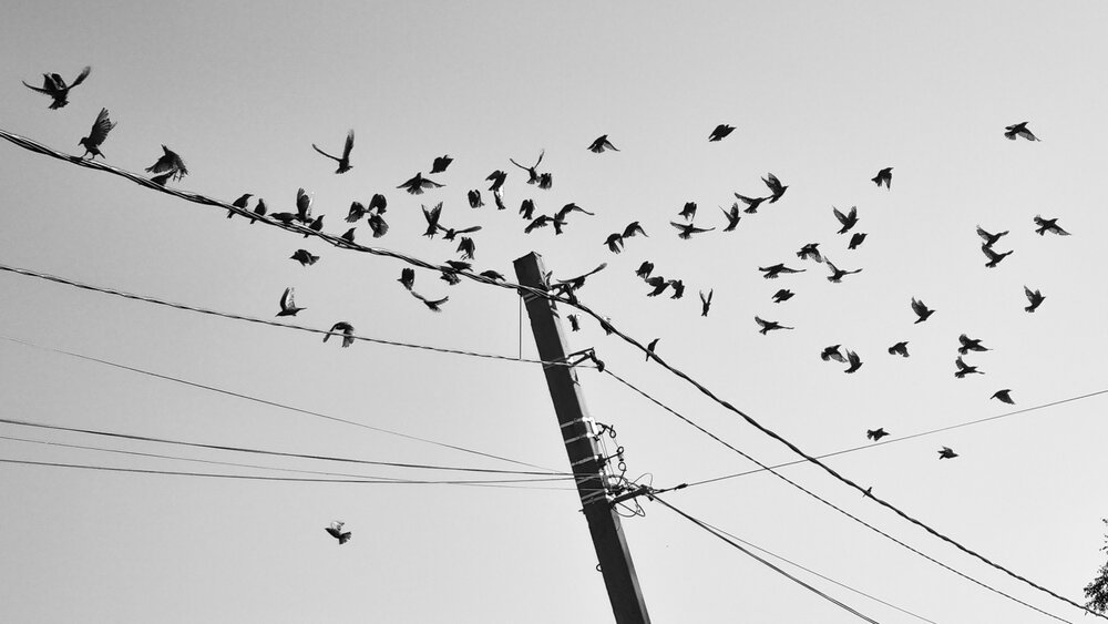Photograph by Alexey Andreev