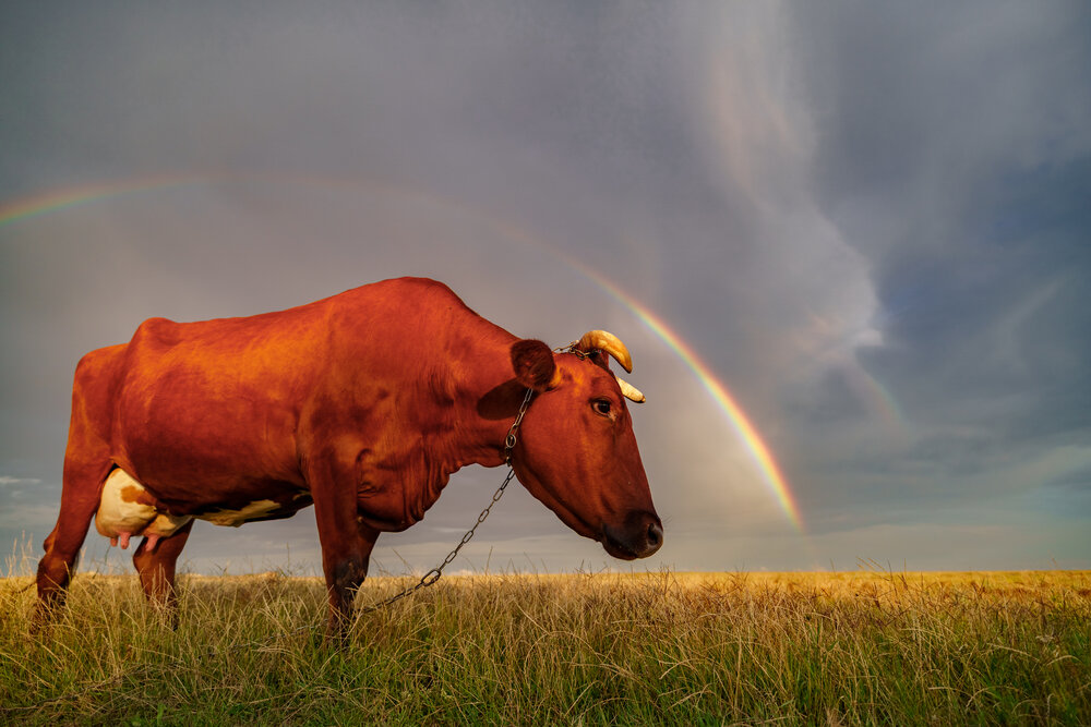 Photograph by Кривцов Андрей