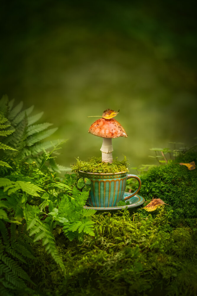 Photograph by Arina Bogachyova