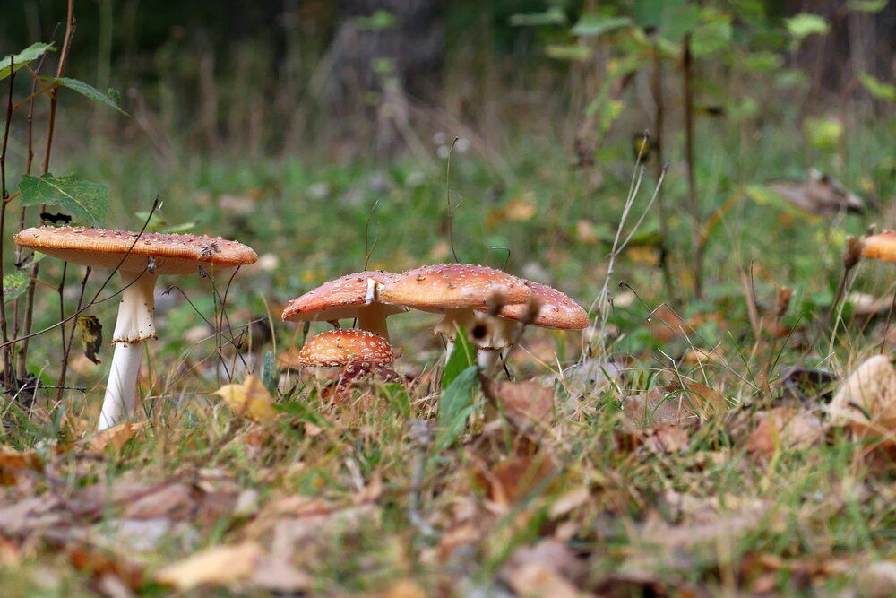 Photograph by Владимир Лобанов