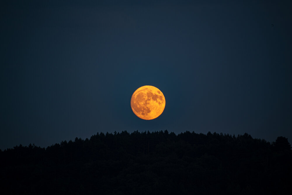 Photograph by Виталий Са