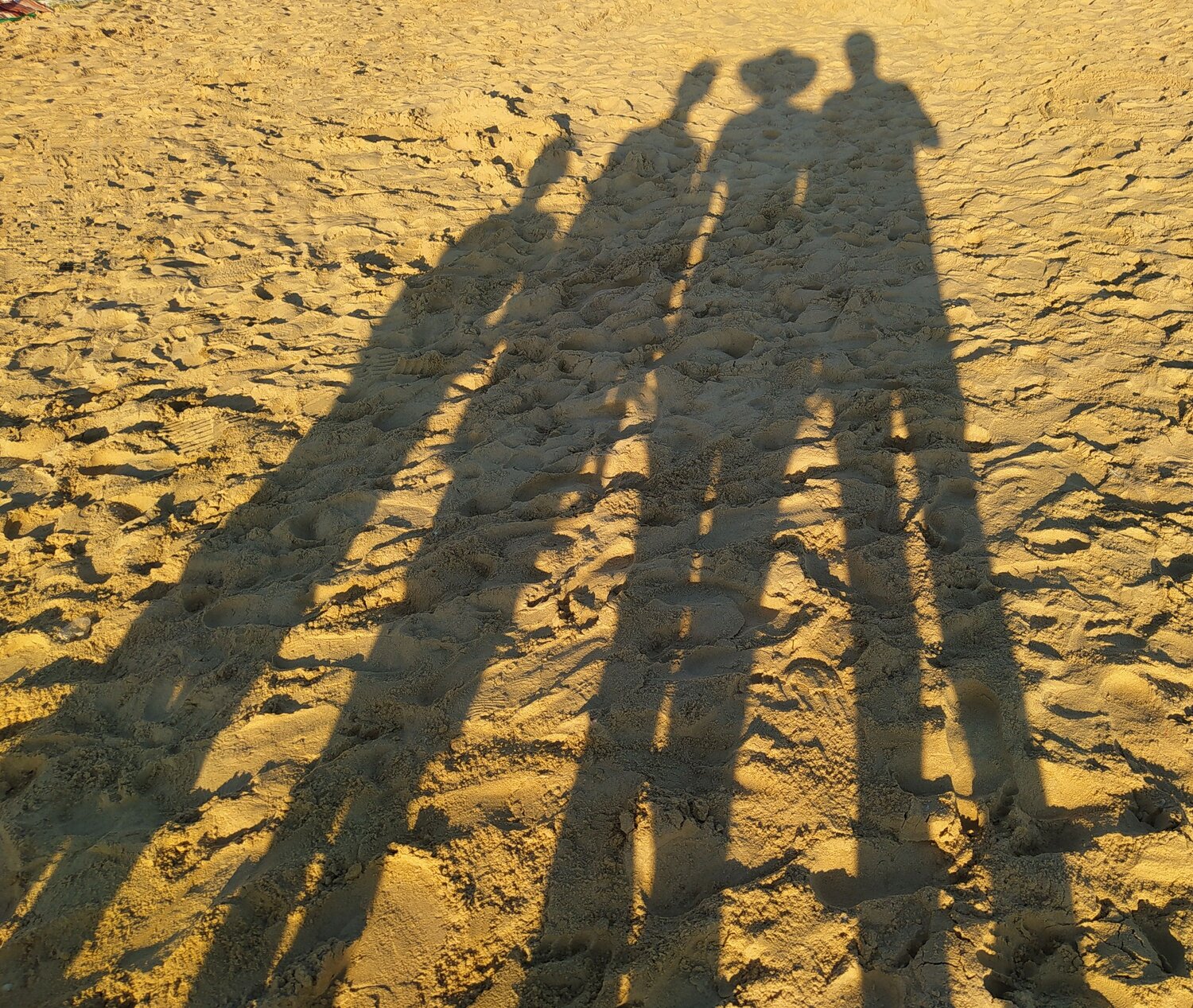 Photo #13953724