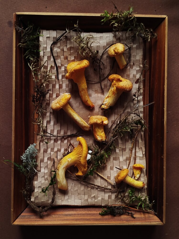 Photograph by Дубровина Марина