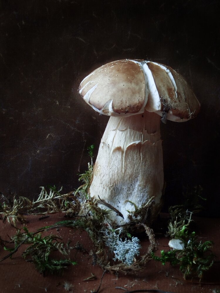 Photograph by Дубровина Марина