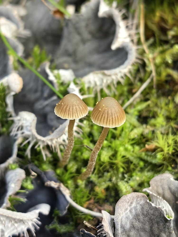 Photograph by Ольга Попова