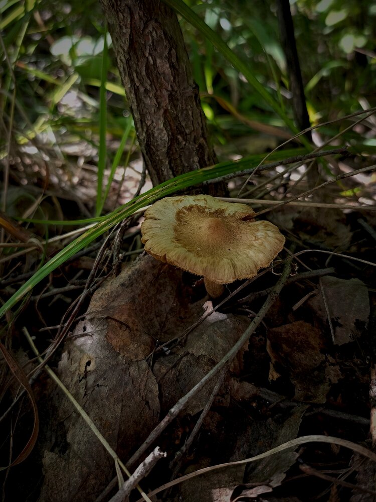 Photograph by Елена Чернякова